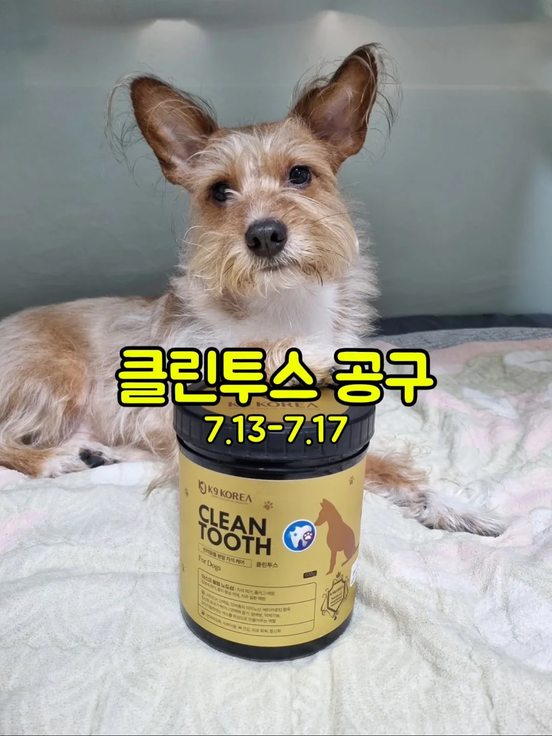수제간식 창업반 클래스 1