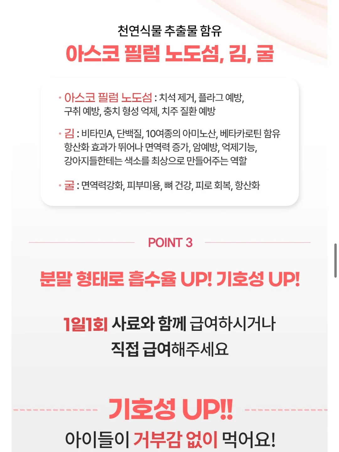 수제간식 창업반 클래스 11