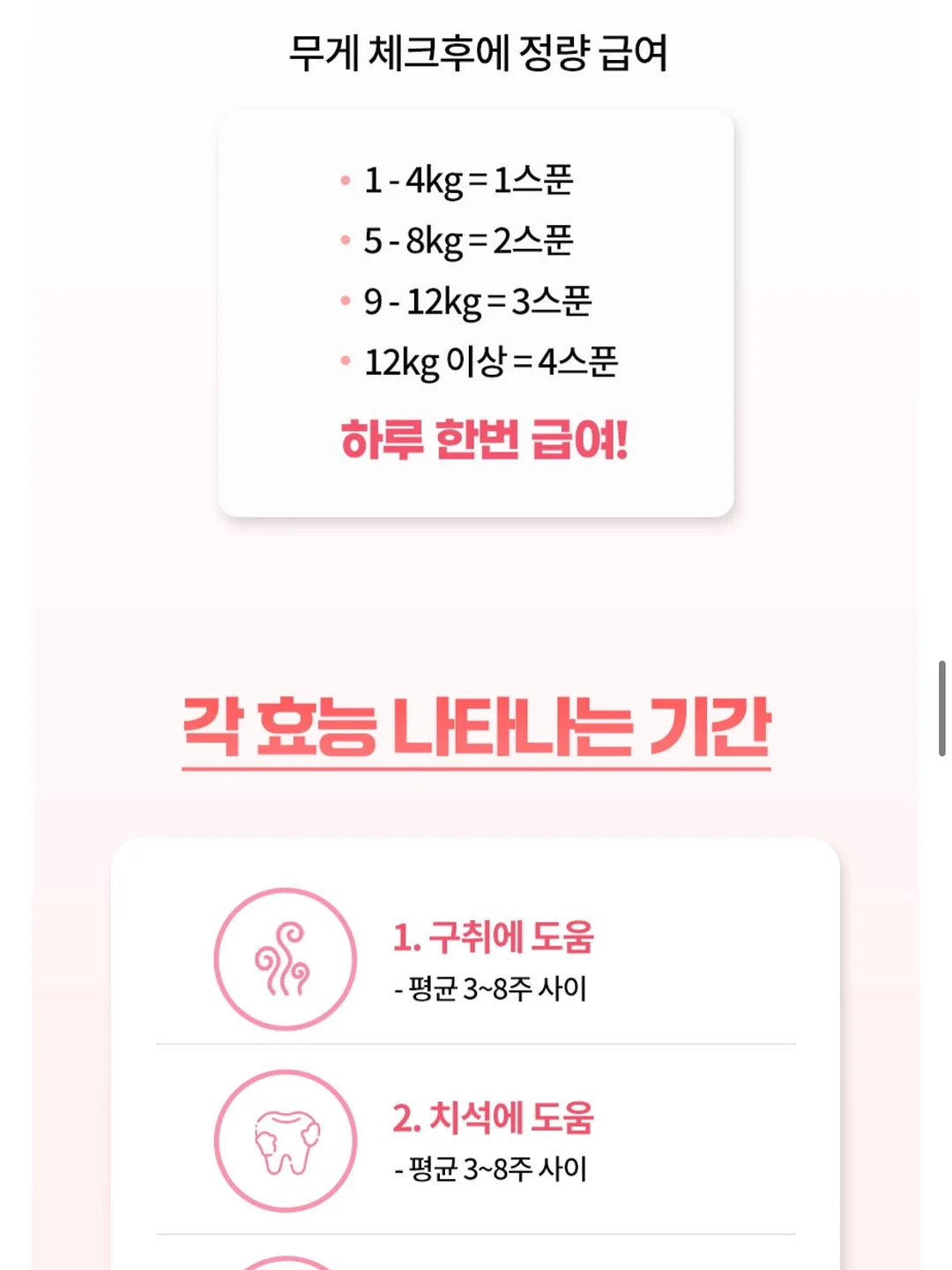 수제간식 창업반 클래스 12