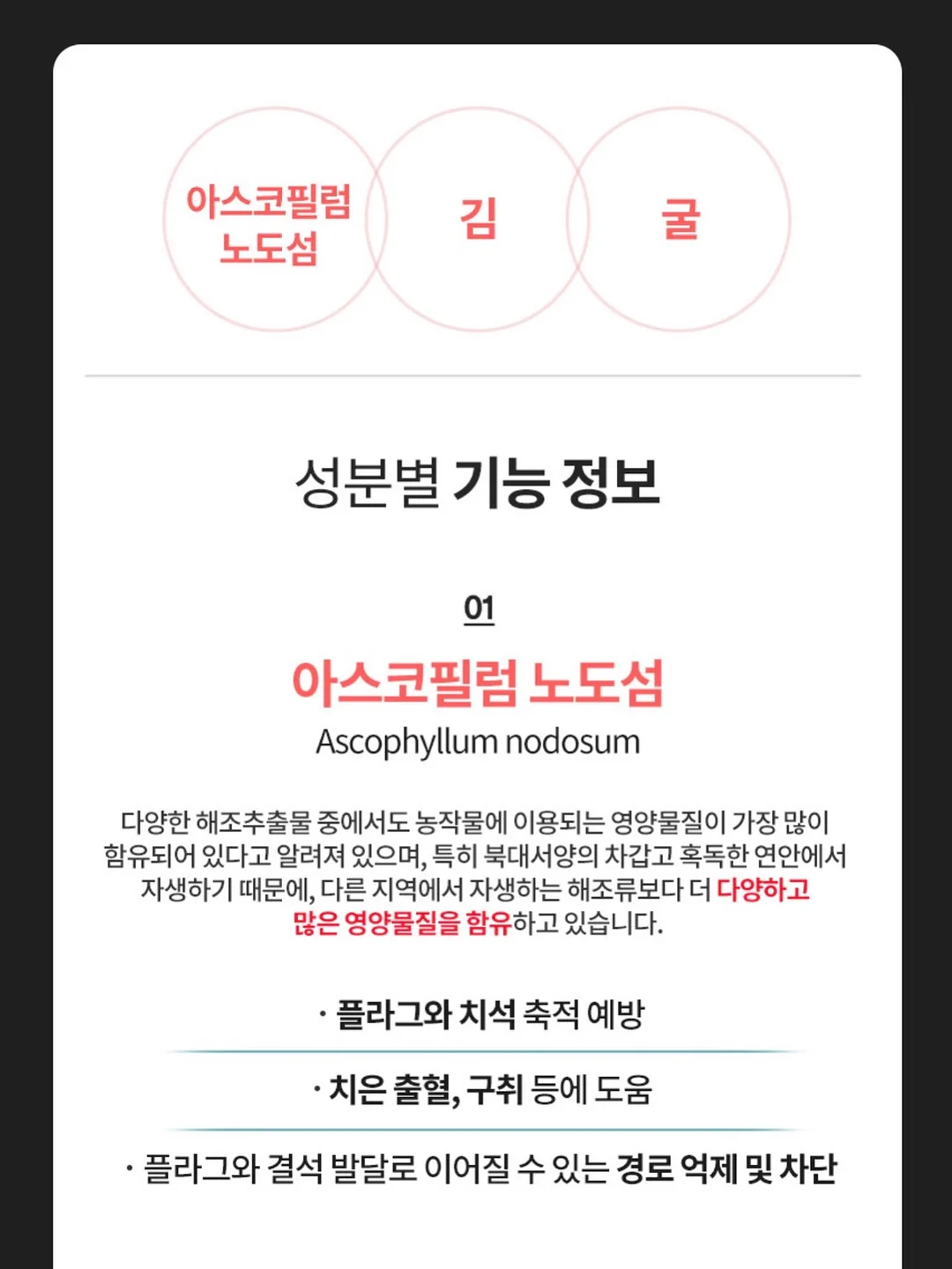 수제간식 창업반 클래스 13