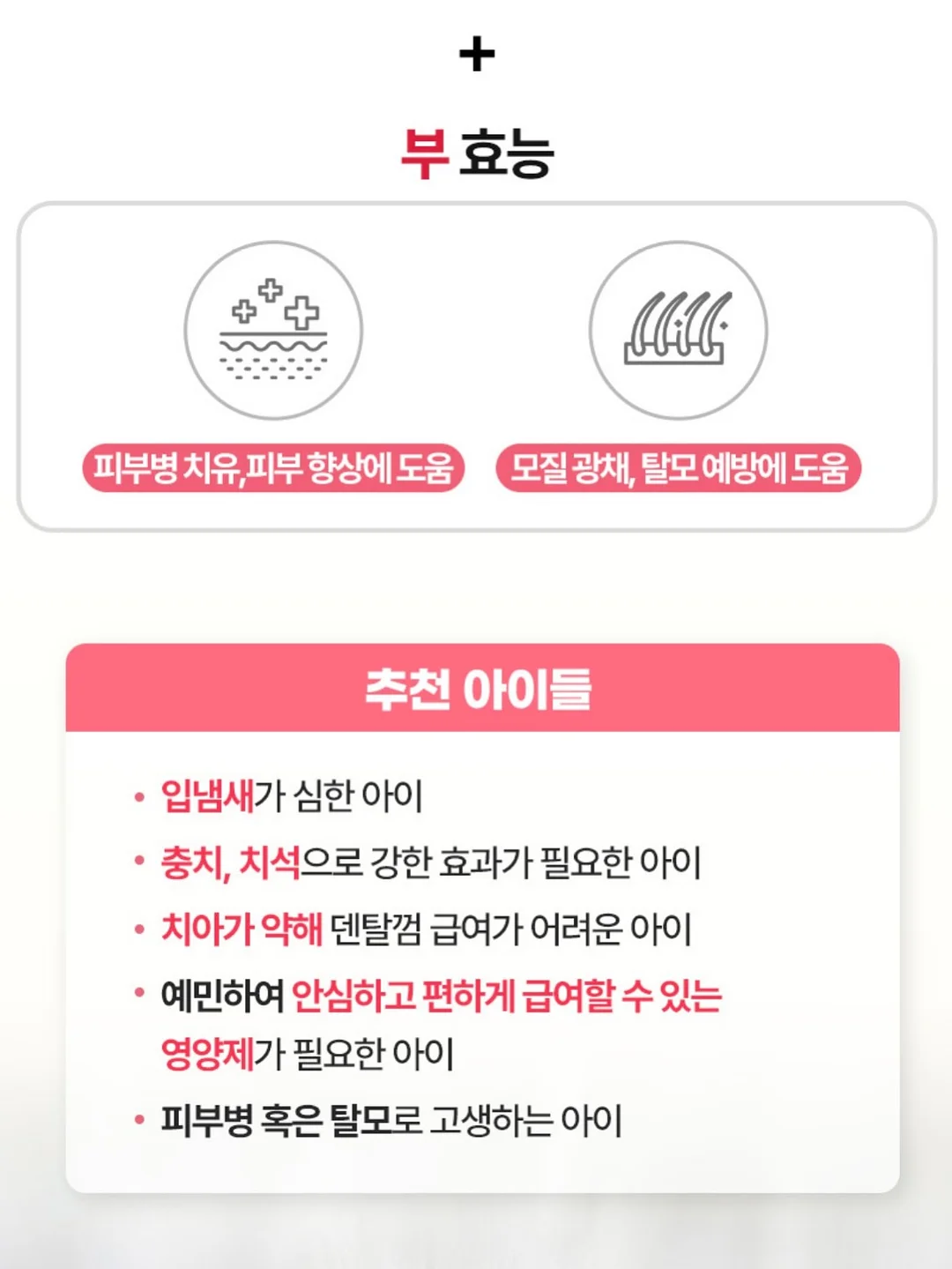 수제간식 창업반 클래스 5
