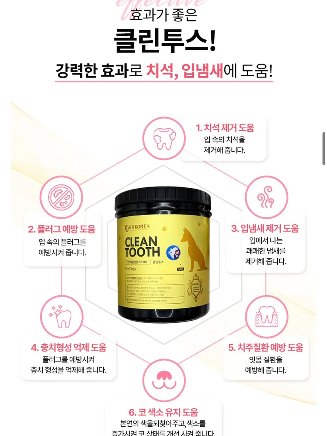 수제간식 창업반 클래스 8