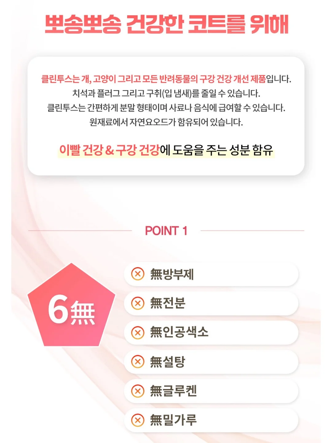 수제간식 창업반 클래스 10