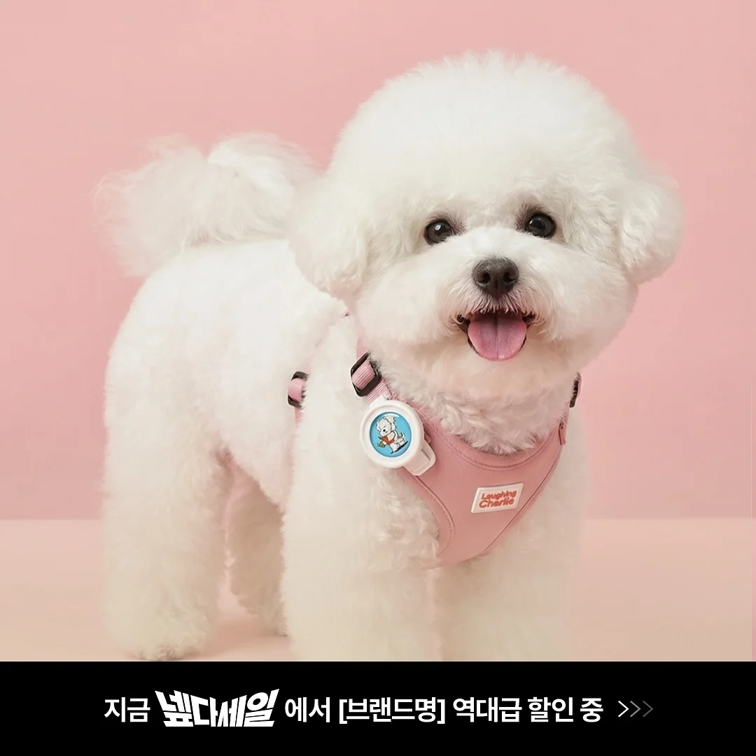 치쥬롤업티 2