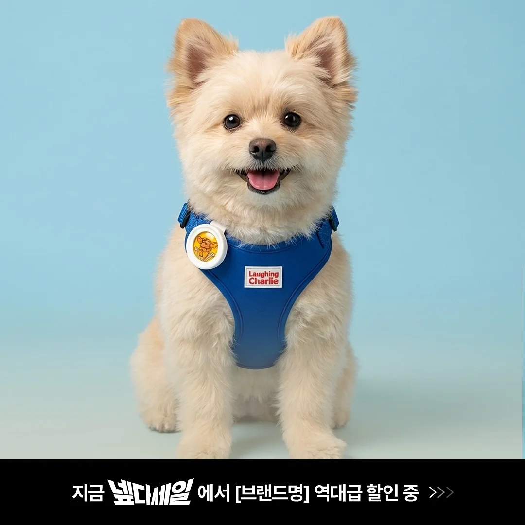 치쥬롤업티 3