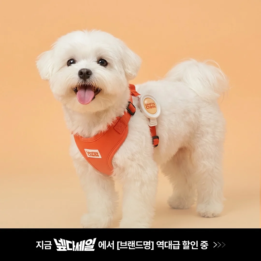 치쥬롤업티 4