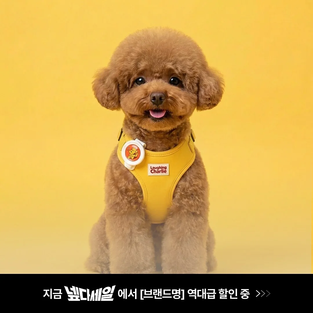 치쥬롤업티 5