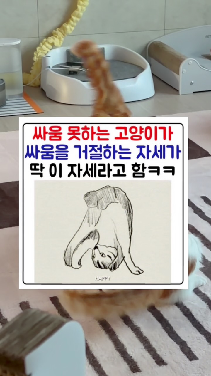 딸기 퍼프 크롭 티셔츠