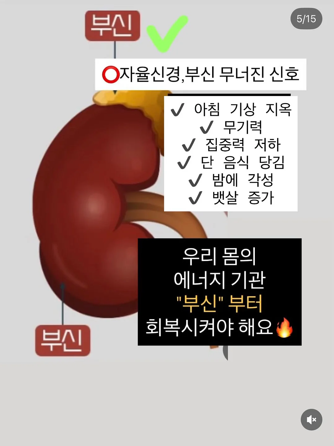 국먹 콘서트 티켓 6