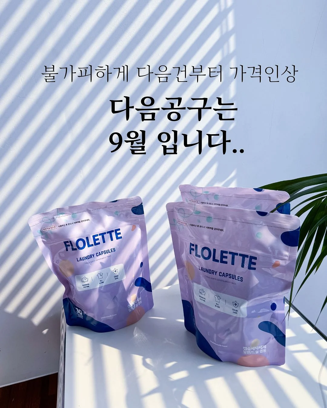 수박 커터기 5