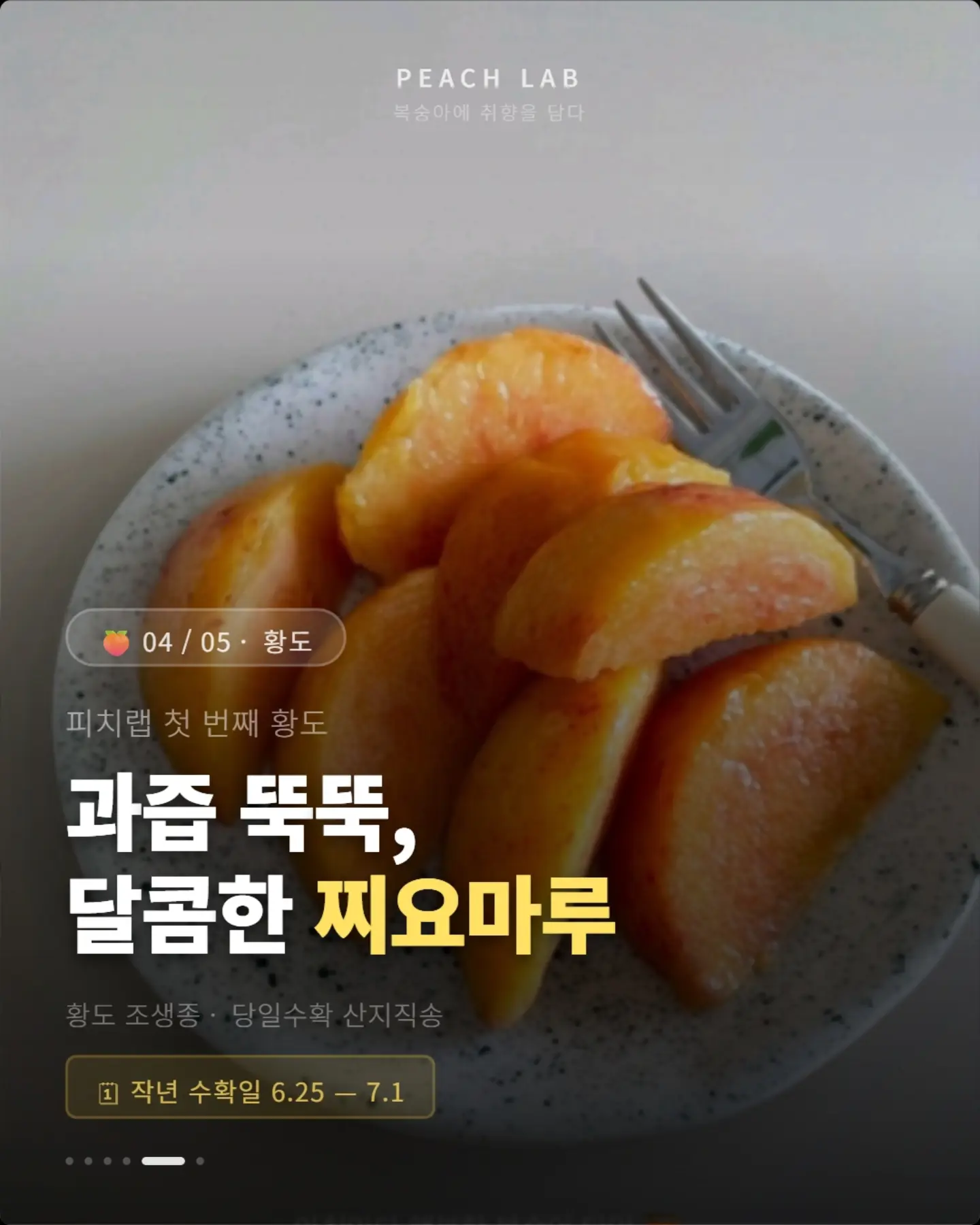 지지 저금통 1