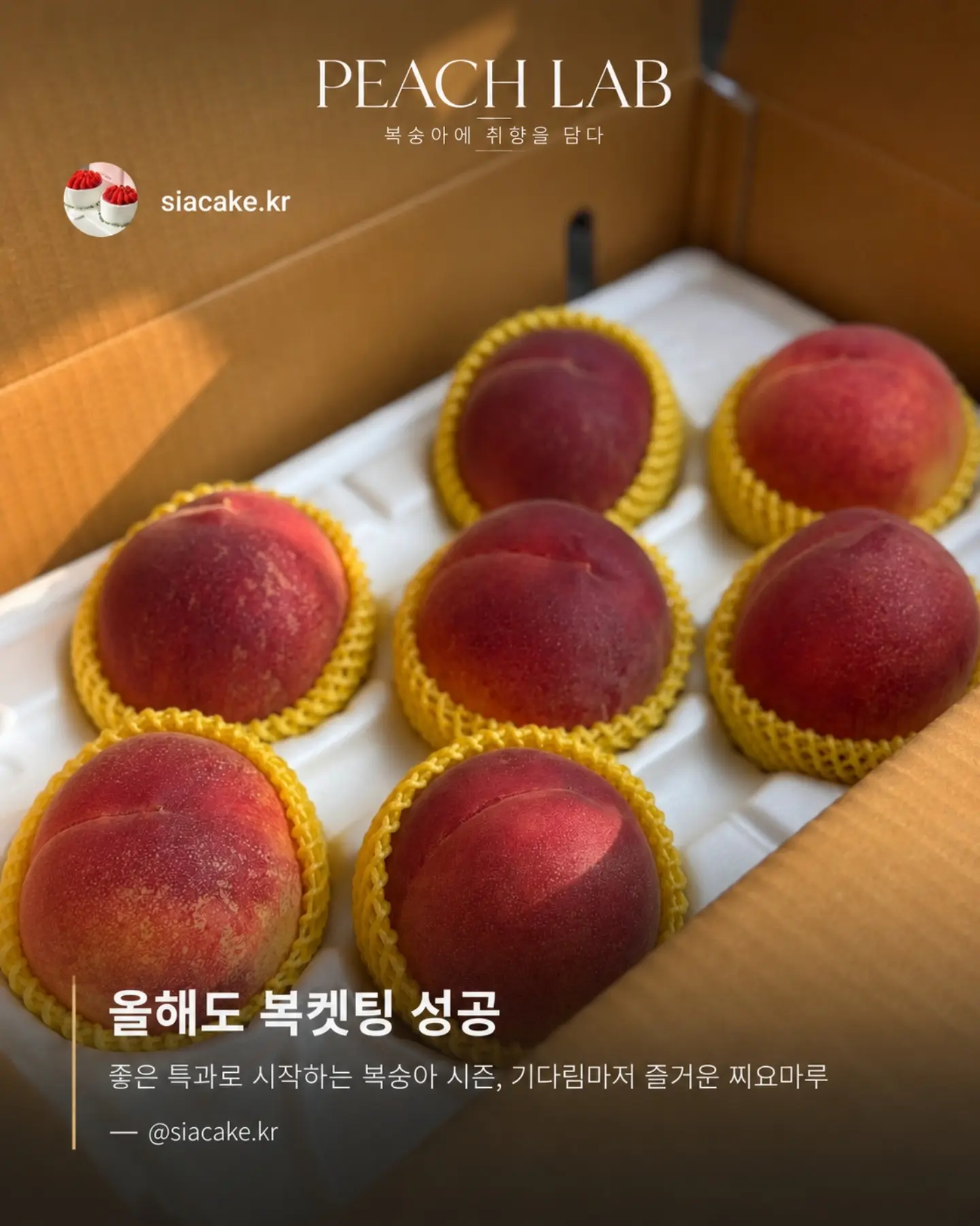 지지 저금통 2