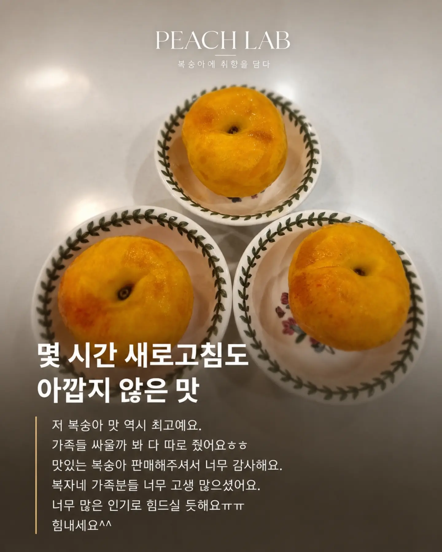 지지 저금통 11