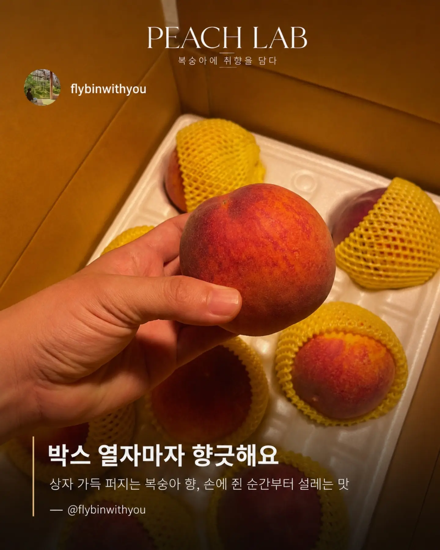 지지 저금통 12