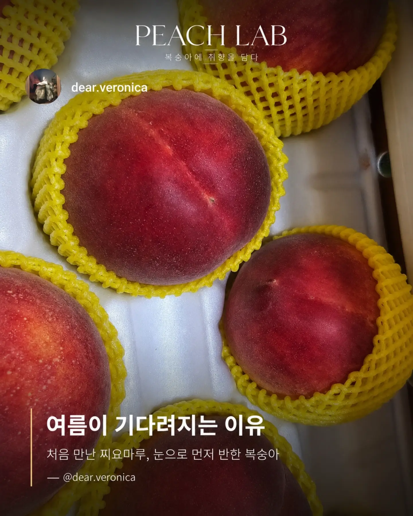 지지 저금통 14