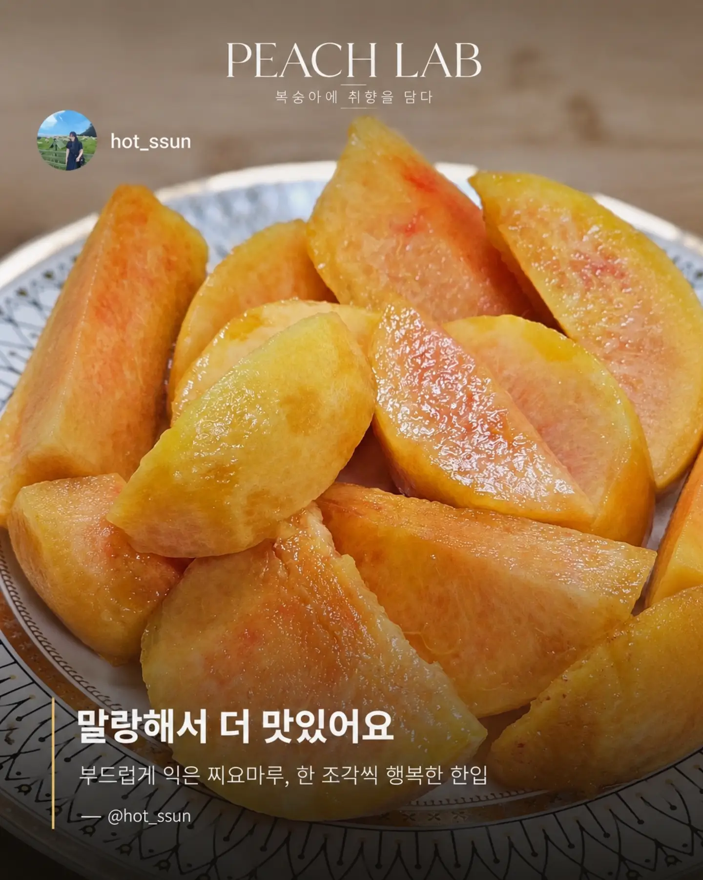 지지 저금통 15