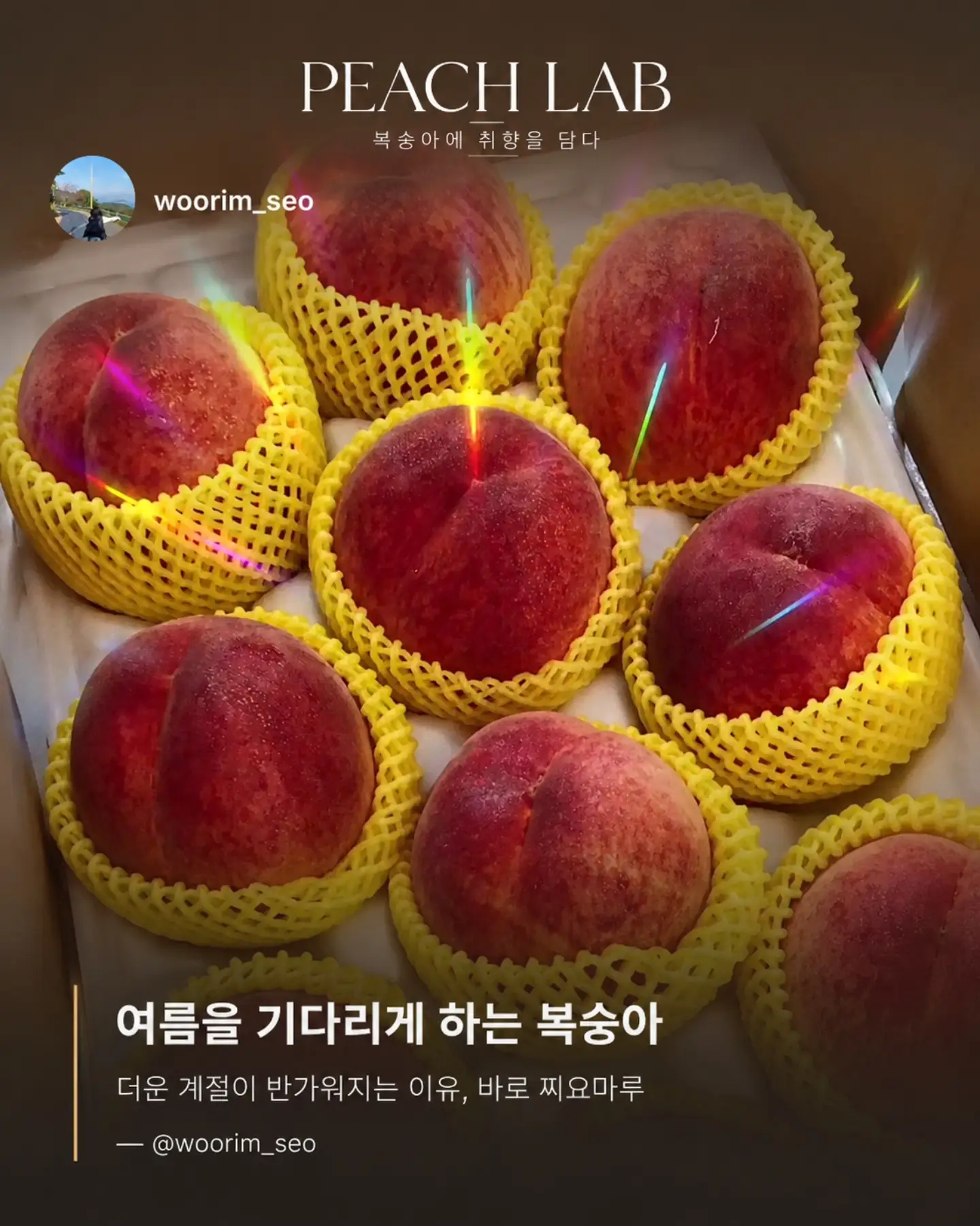 지지 저금통 16