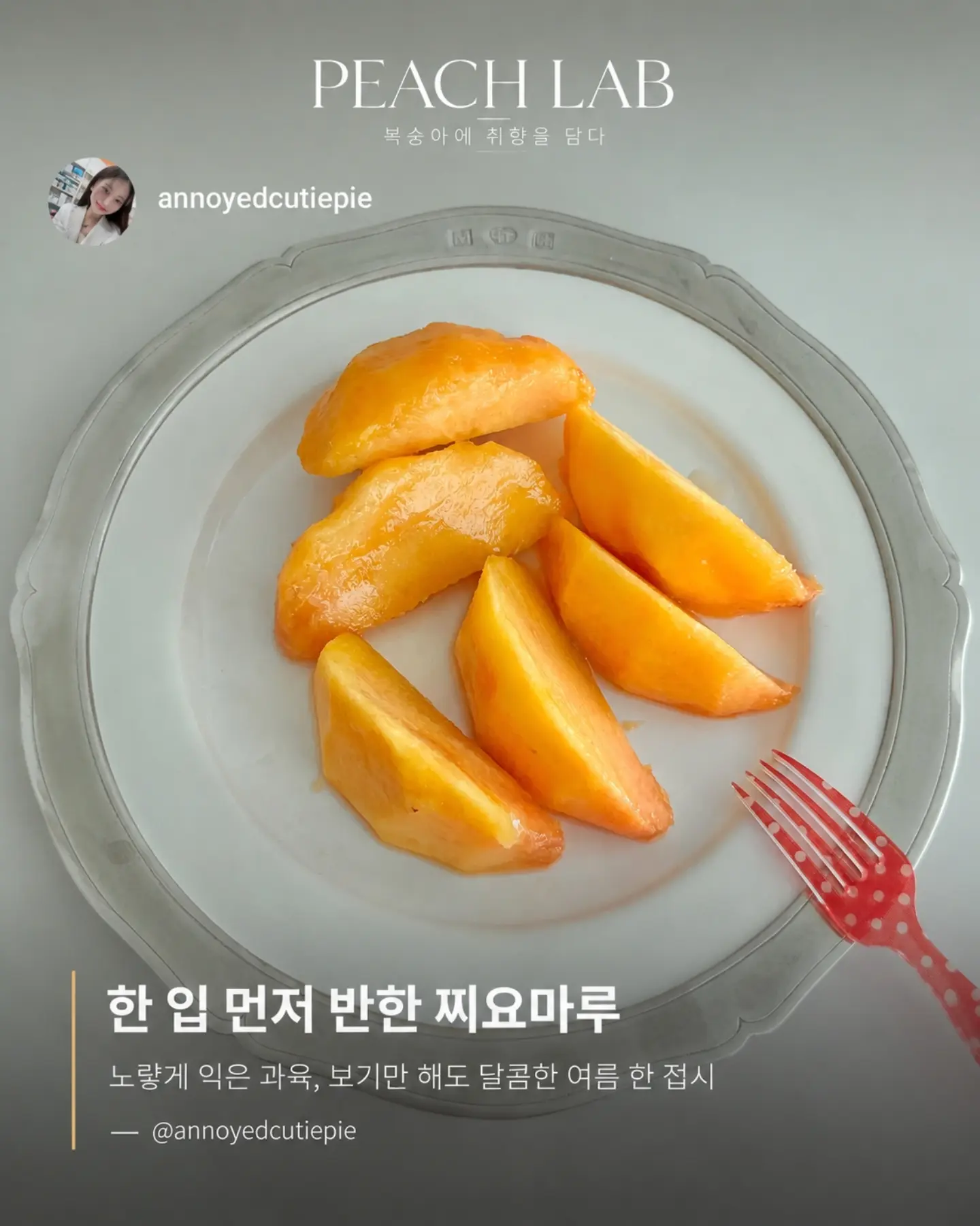 지지 저금통 3