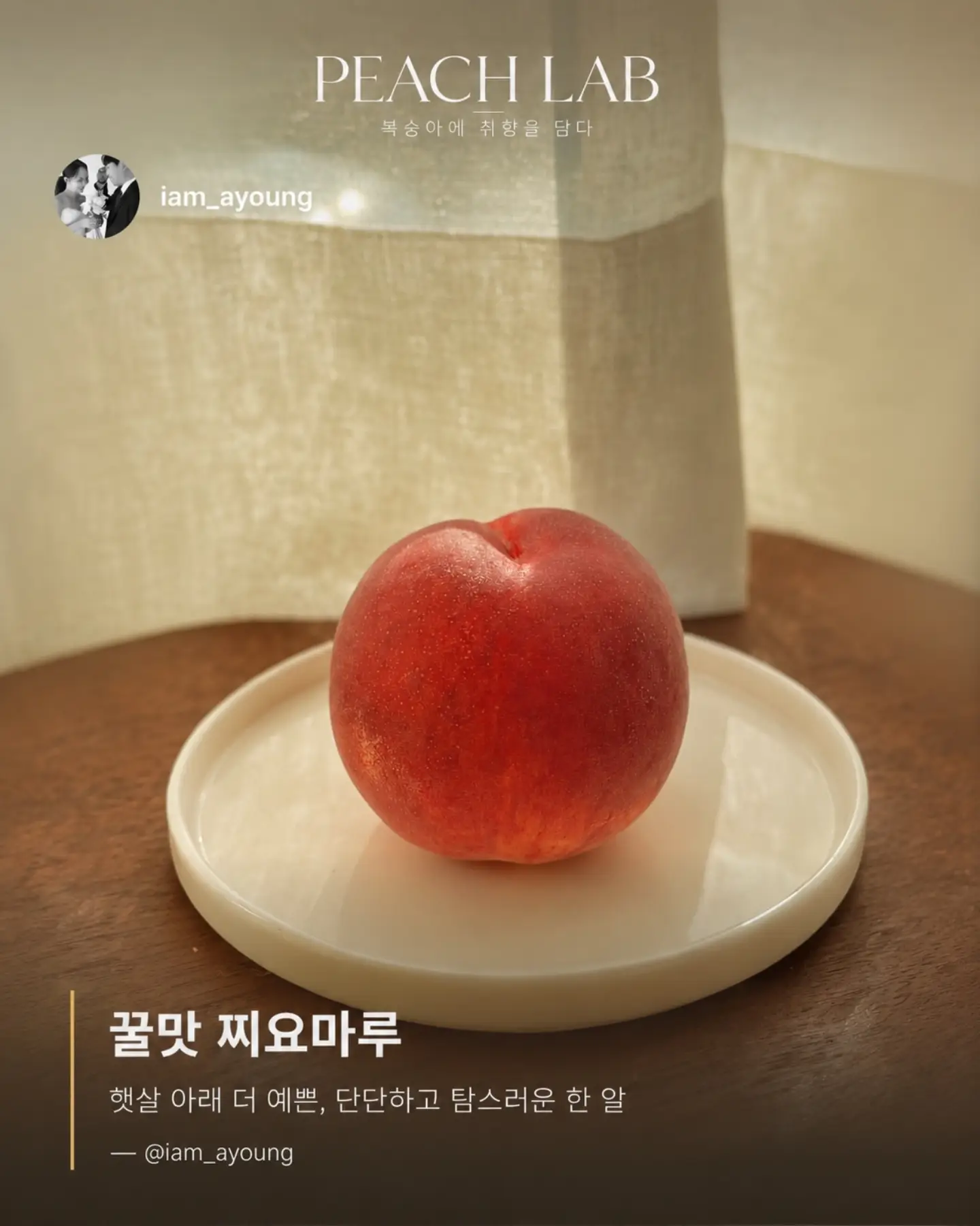 지지 저금통 4