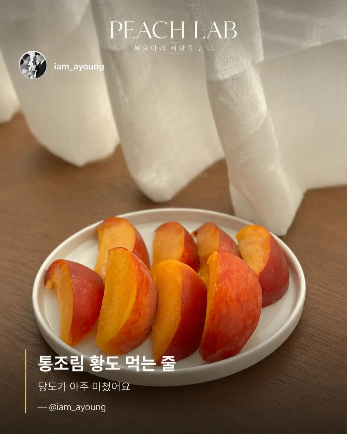 지지 저금통 5