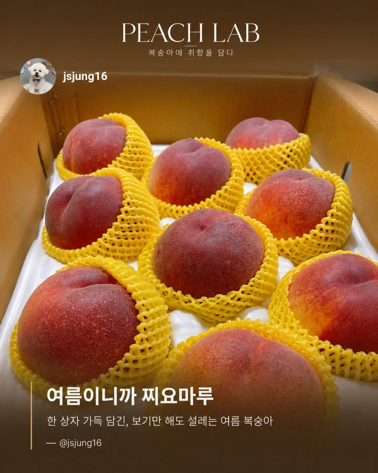 지지 저금통 6