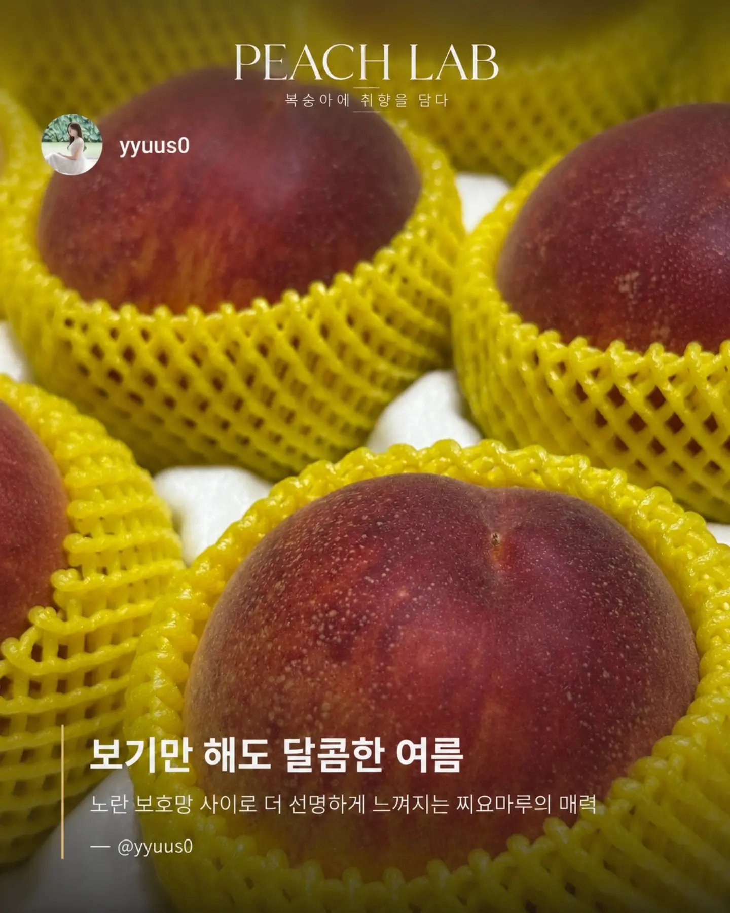 지지 저금통 8