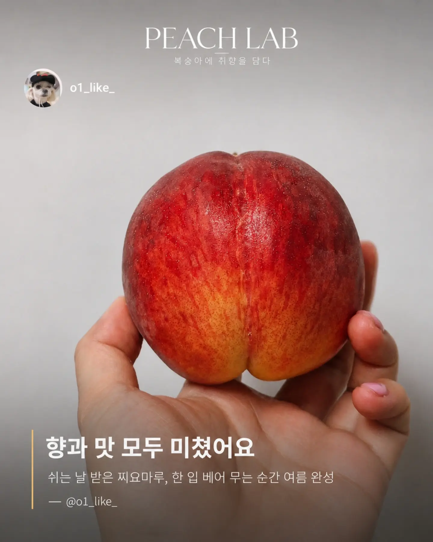 지지 저금통 10