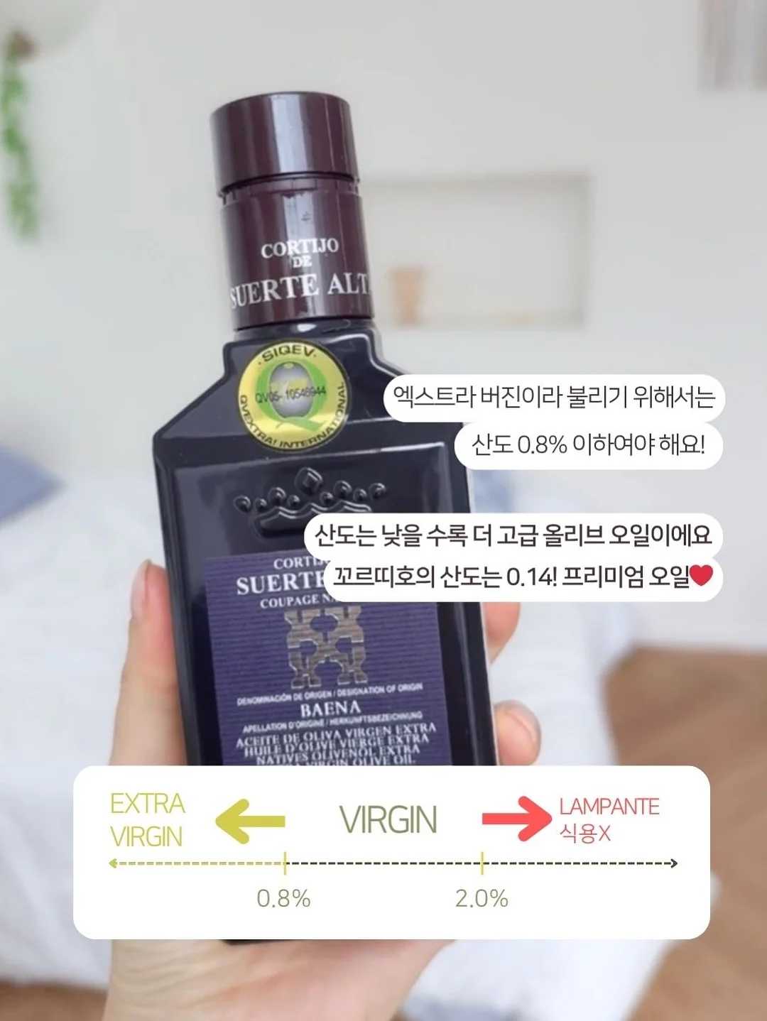 어거스트 기프트 카드 15