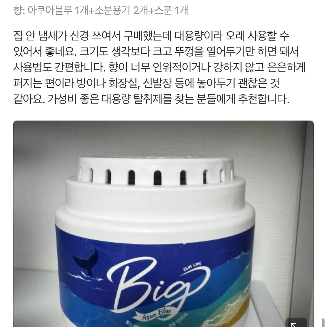 달항아리 화분 15