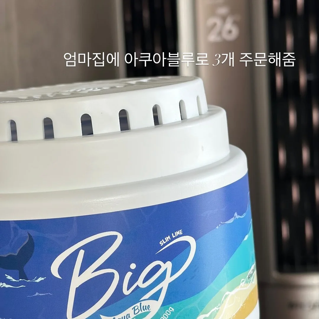 달항아리 화분 5