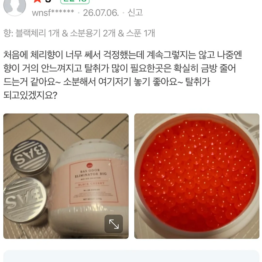 달항아리 화분 9