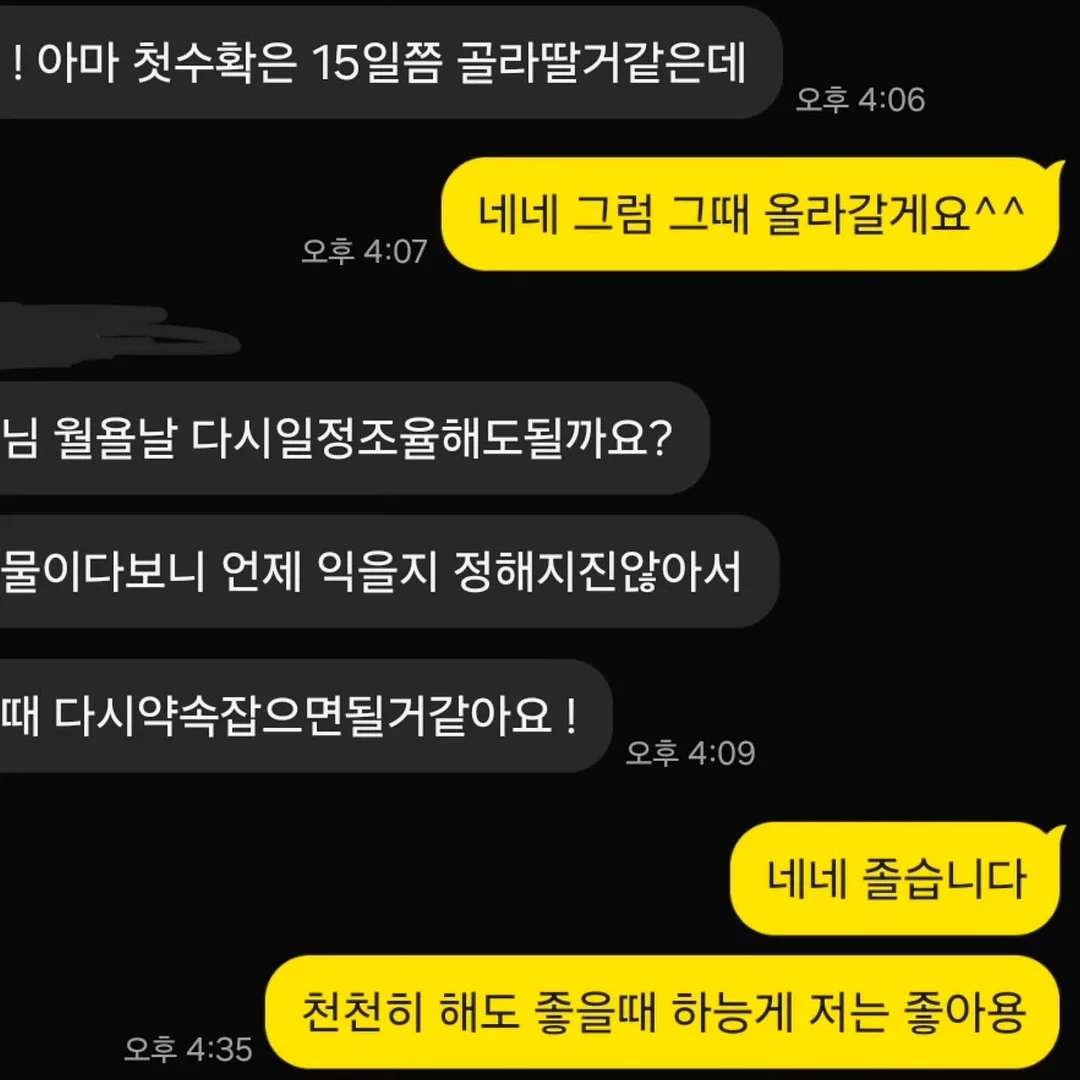 조개 해감 3