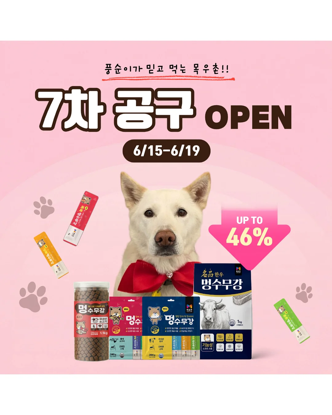 말랑말랑 작은 동물들 이모티콘 1