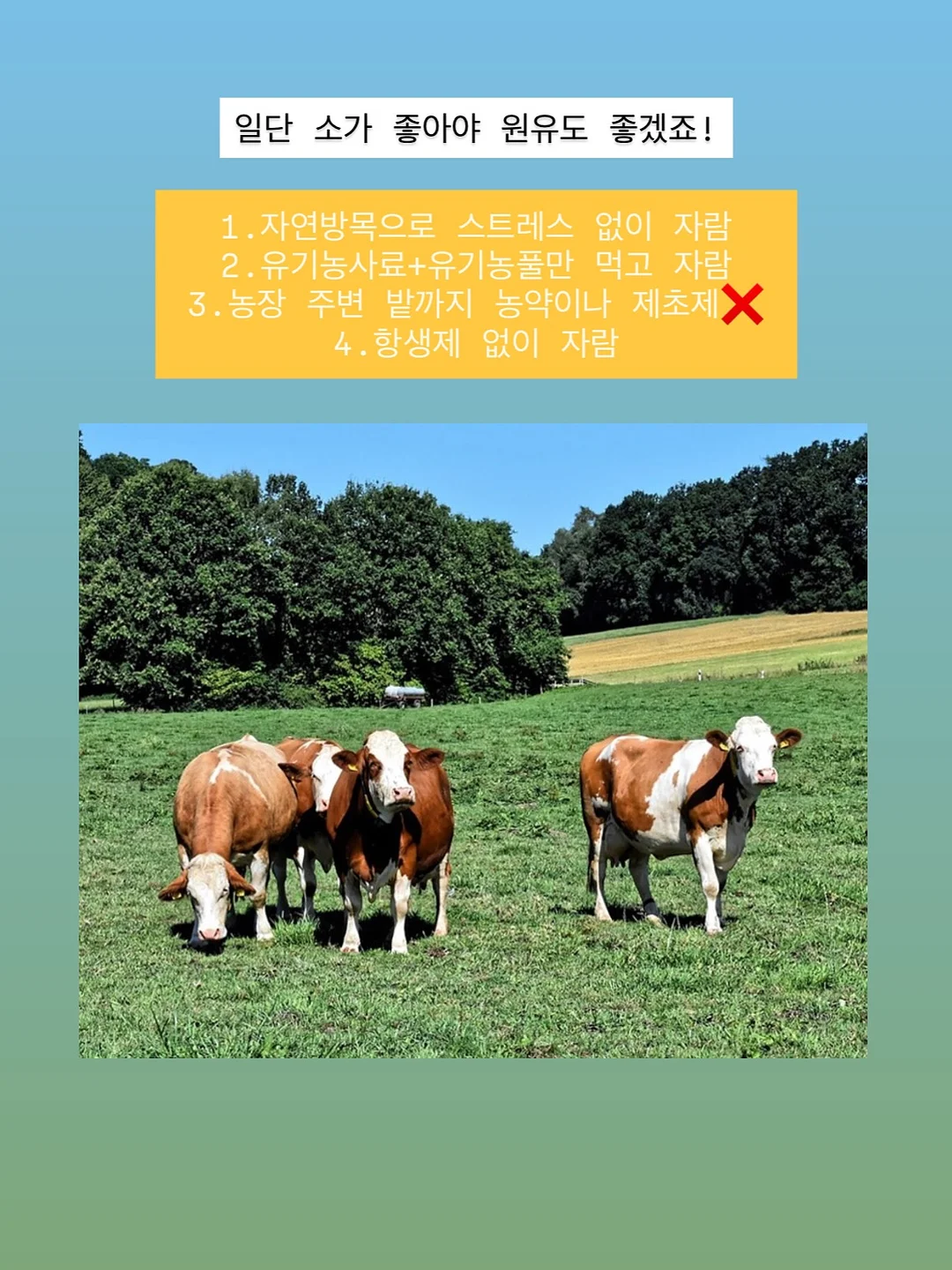 입술 반영구 클래스 4