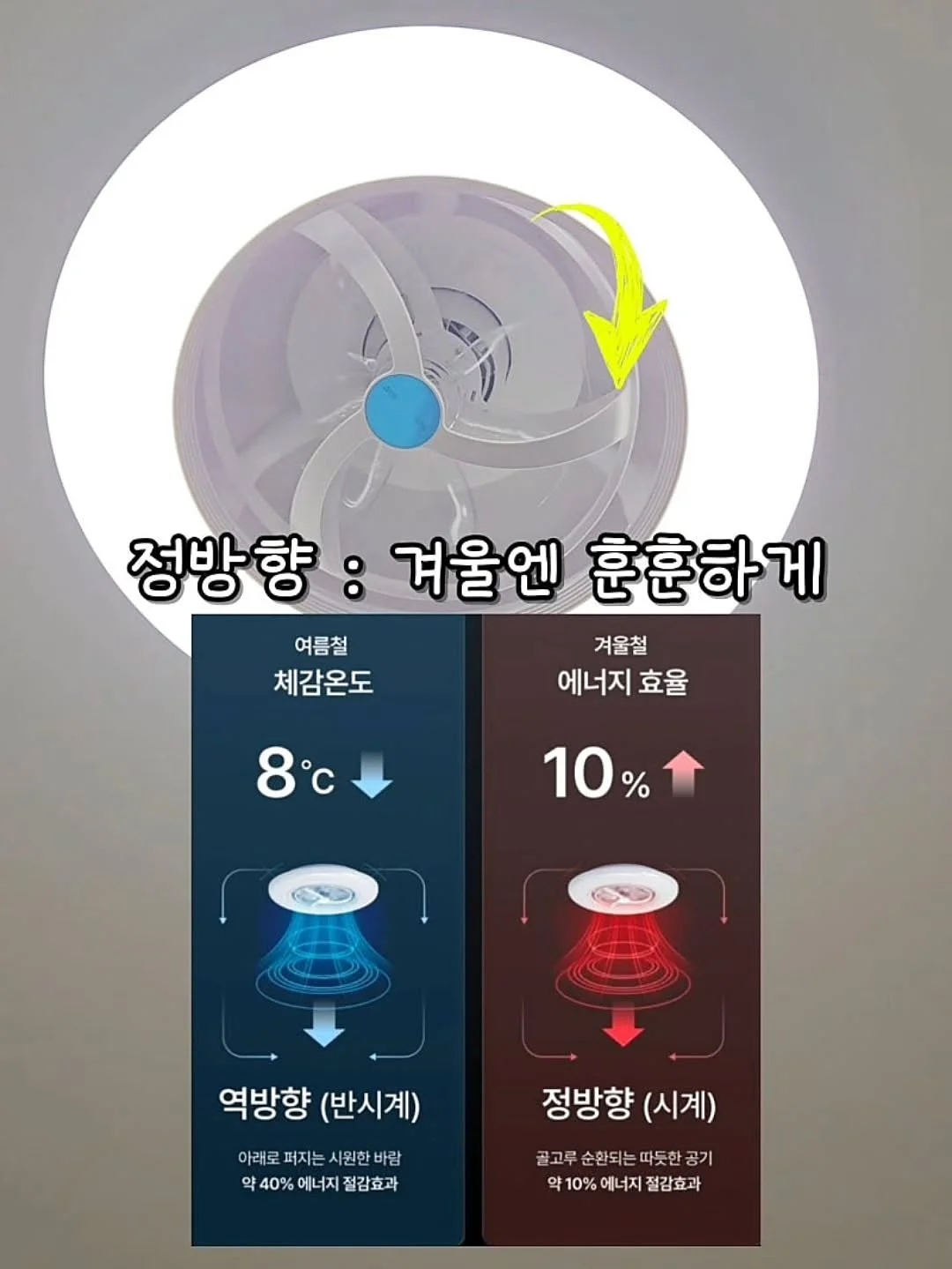 재사용 아이스큐브 11