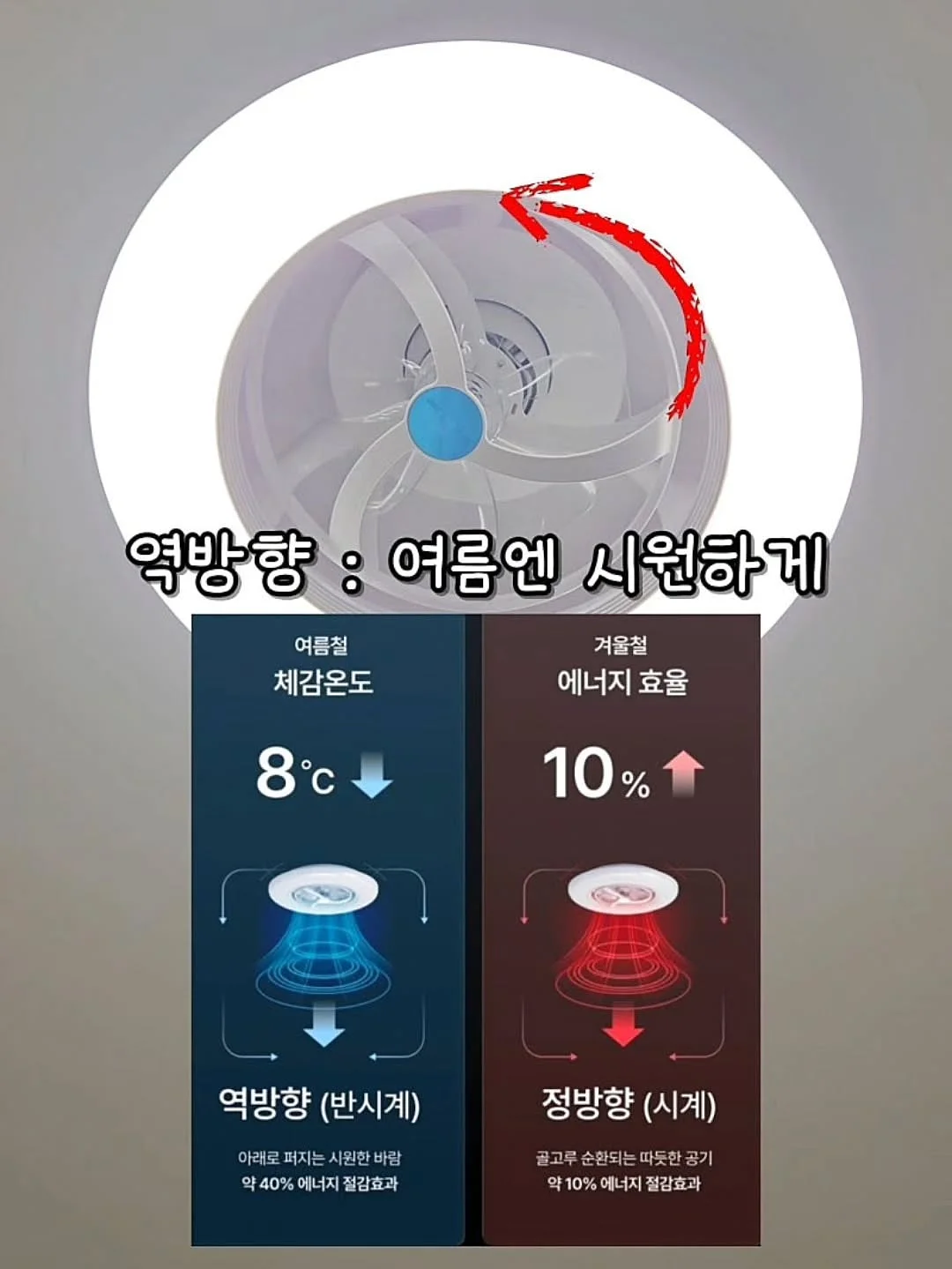 재사용 아이스큐브 12