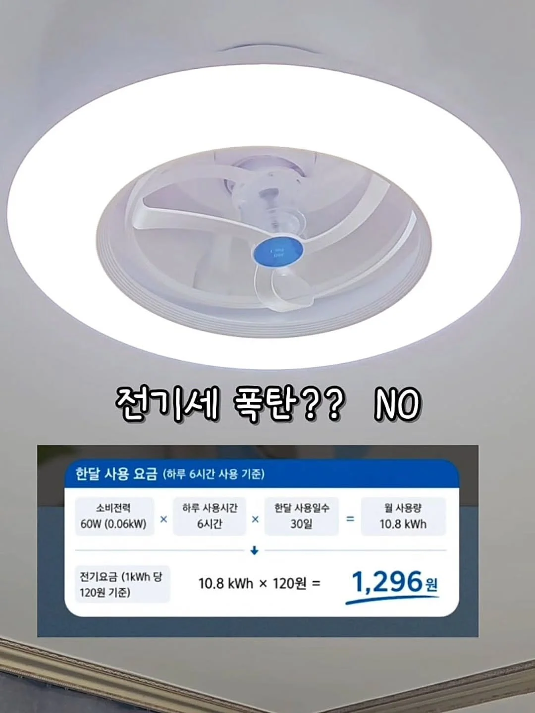 재사용 아이스큐브 13