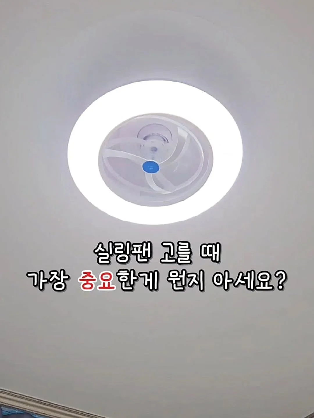 재사용 아이스큐브 6