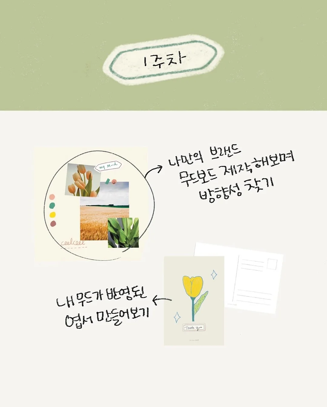 얼룩 제거제 5