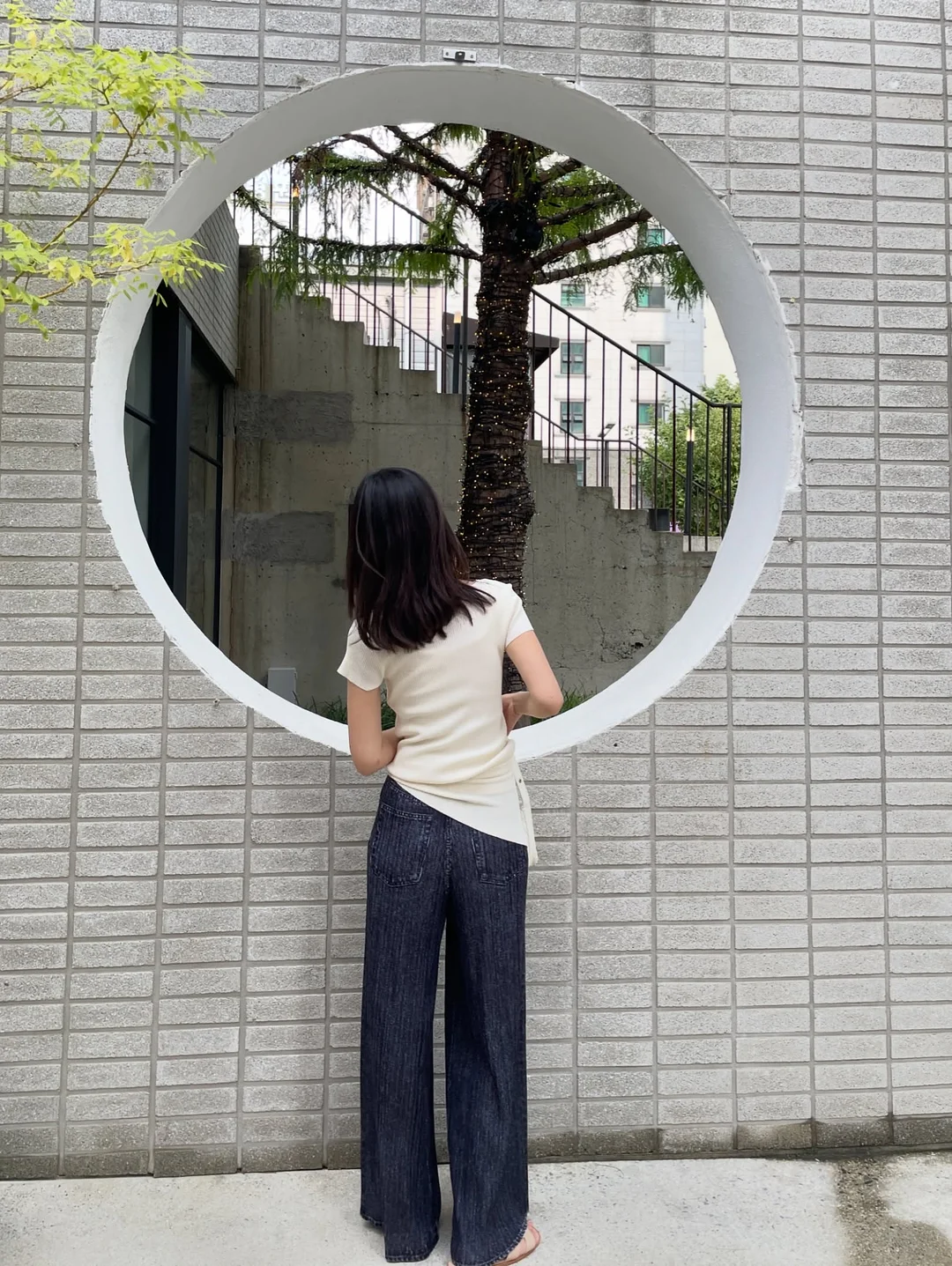 알리고무나무 11