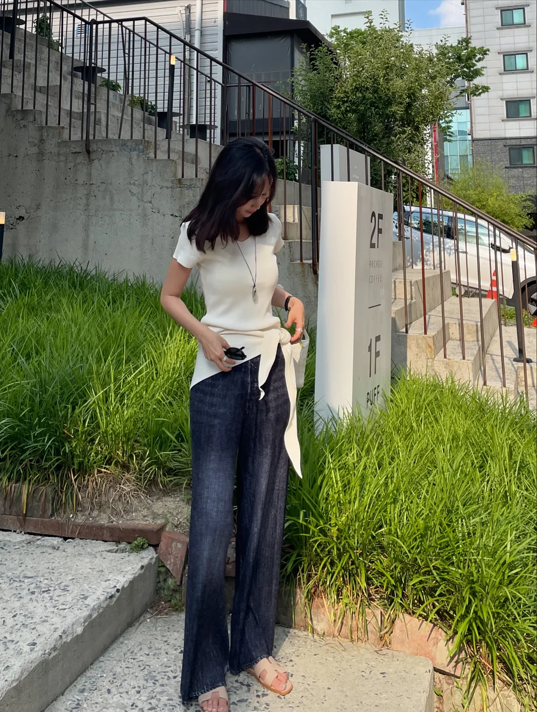 알리고무나무 10