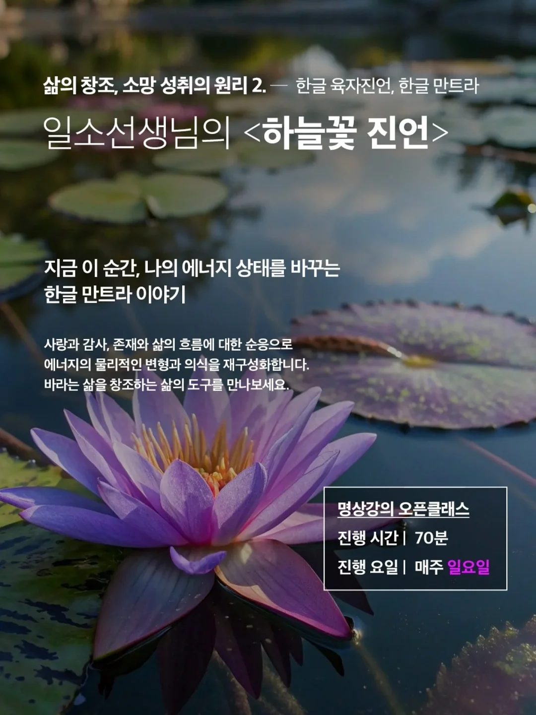 책나눔 5