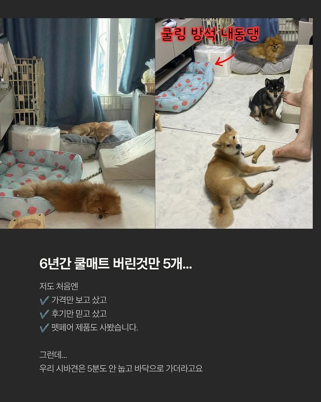 텀블러 2