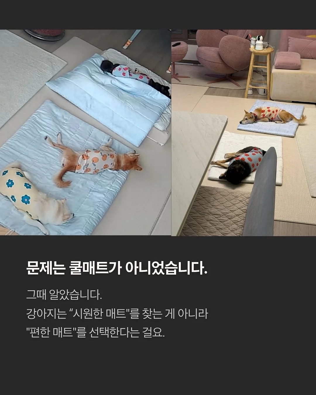 텀블러 3