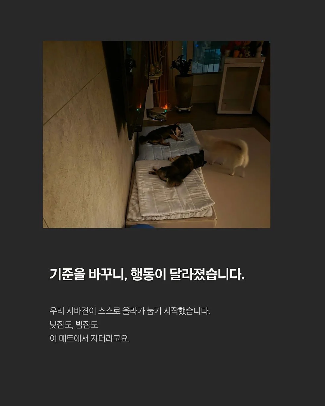 텀블러 7