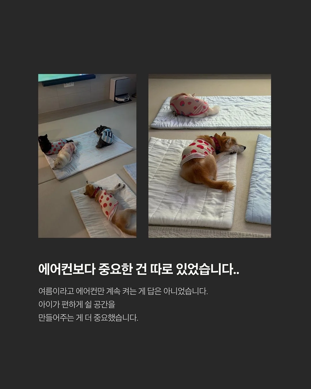 텀블러 8