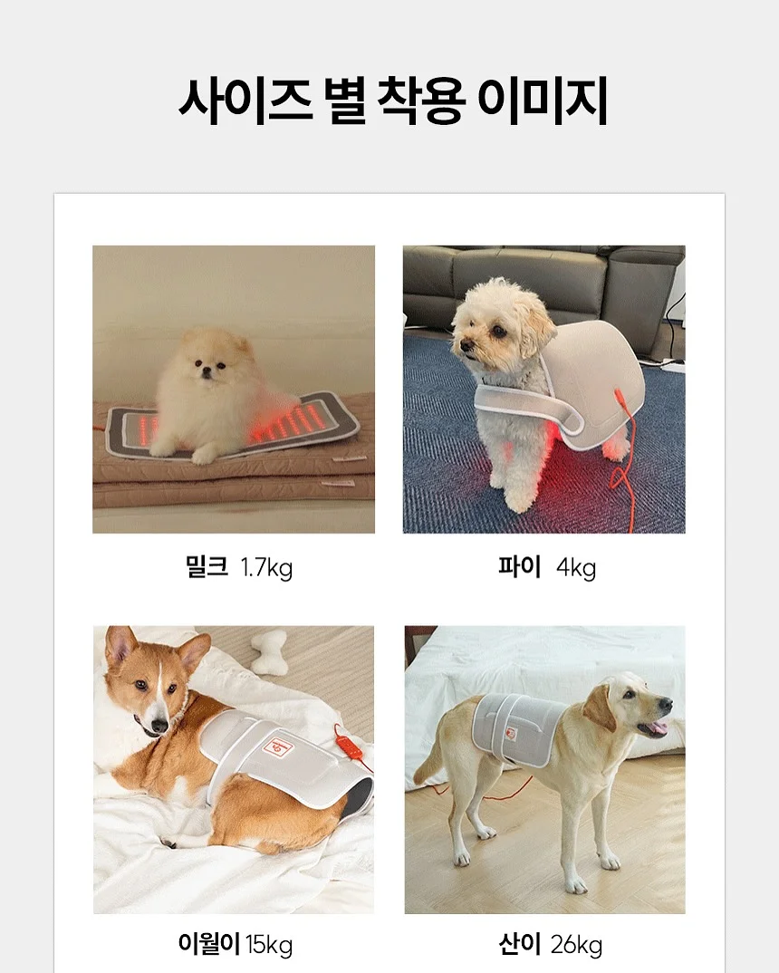전기냄비 19