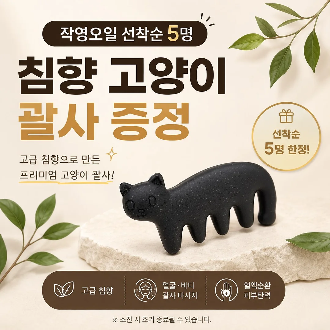 힙 운동 루틴