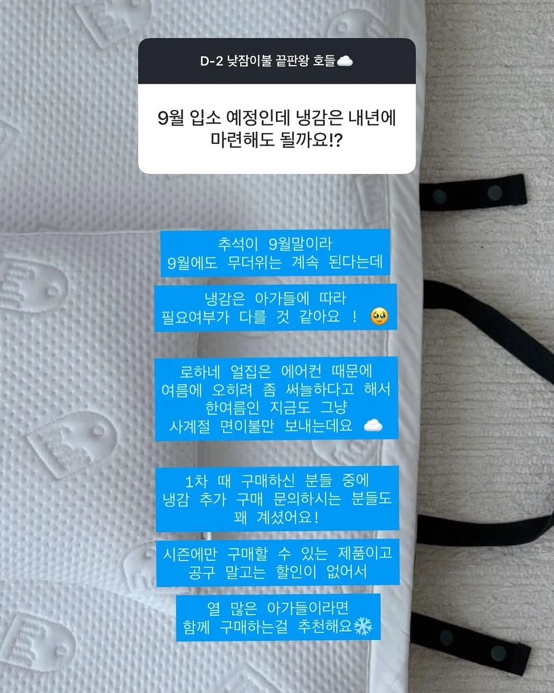피토버플러스 13