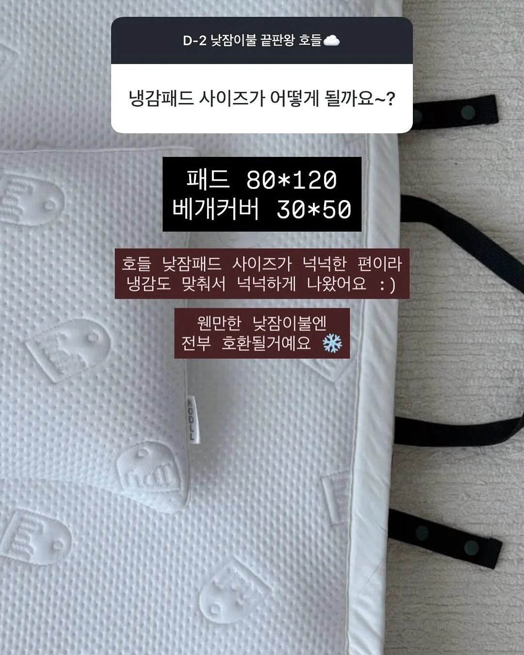 피토버플러스 18